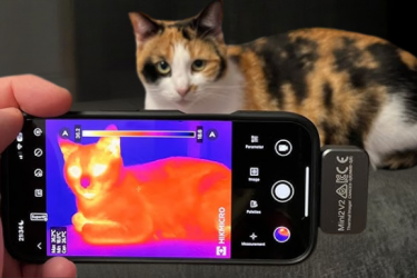 Ứng dụng của camera nhiệt (thermal camera) trong thú y