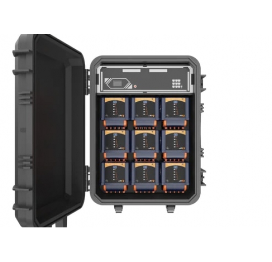 Hộp sạc pin Lithium 9 ngăn D24-100 
